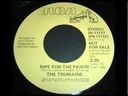 The Brothers, Are You Ready For This / The Trumains, Ripe For The Picking