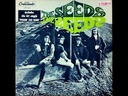 The Seeds