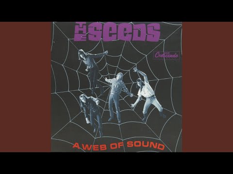 The Seeds, Web Of Sound