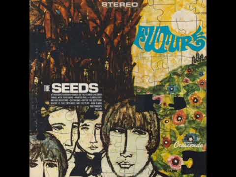 The Seeds, Future