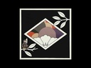 Deca & Dealz, Bough (COLOR)