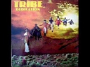 Tribe, Dedication (COLOR)