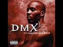 DMX, It's Dark and Hell Is Hot (COLOR)