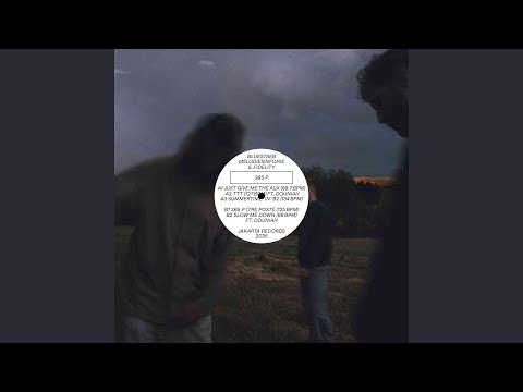 Bluestaeb, Melodiesinfonie & S. Fidelity, 365 P