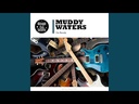 Muddy Waters, Rollin' Stone (COLOR)