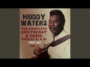 Muddy Waters, Rollin' Stone (COLOR)
