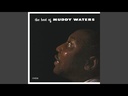 Muddy Waters, Rollin' Stone (COLOR)