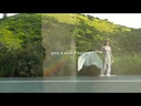 Alé Araya, In Visions - Signed Limited Edition (COLOR)