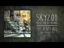 Skyzoo, Music For My Friends - 10 Year Anniversary Edition
