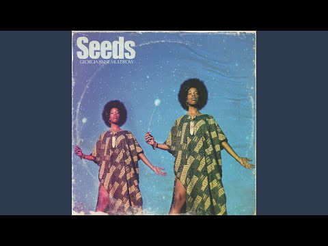 Madlib / Georgia Anne Muldrow, Seeds - Instrumentals