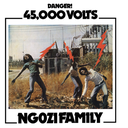 Ngozi Family, 45000 Volts