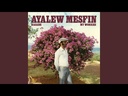 Ayalew Mesfin, Hasabe – My Worries