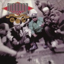 Diamond D & The Psychotic Neurotics, Stunts, Blunts & Hip Hop 