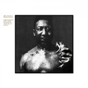 Muddy Waters, After The Rain
