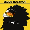 Segun Bucknor