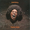 Funkadelic, Maggot Brain