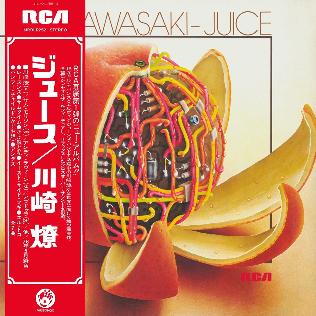 Ryo Kawasaki, Juice