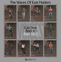 Voices of East Harlem, Can You Feel It - Part 1​/​2