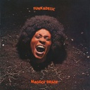 Funkadelic, Maggot Brain