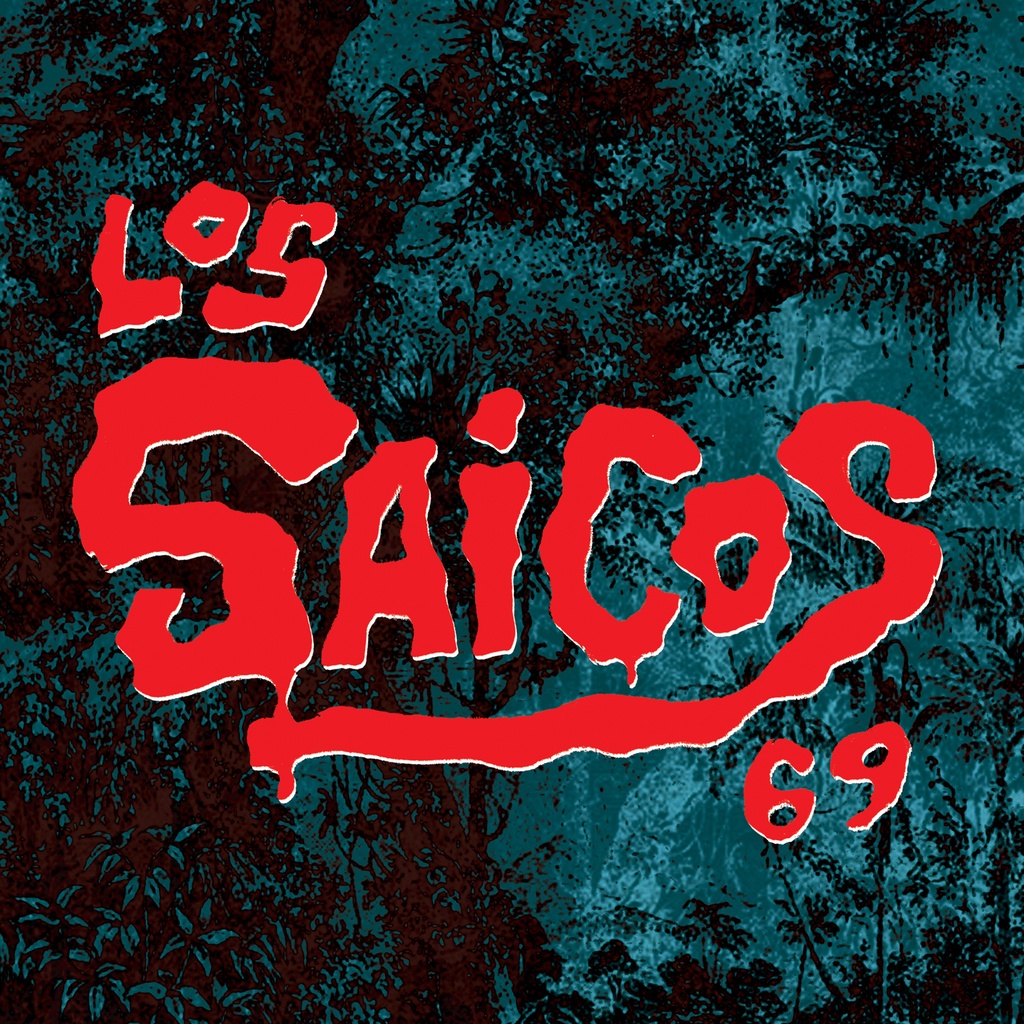 Los Saicos 69 / Erwin Flores, El Mercenario / Un Poquito De Pena