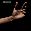 Norman Feels (copie)