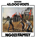 Ngozi Family, 45,000 Volts