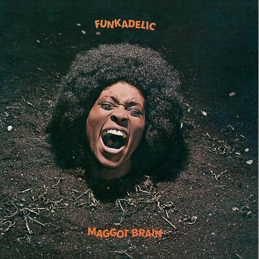 Funkadelic, Maggot Brain