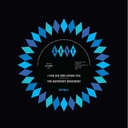 The Mayberry Movement I Can See Him Loving You / What Did I Do Wrong