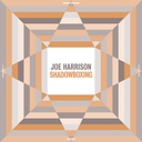 Joe Harrison, Shadowboxing