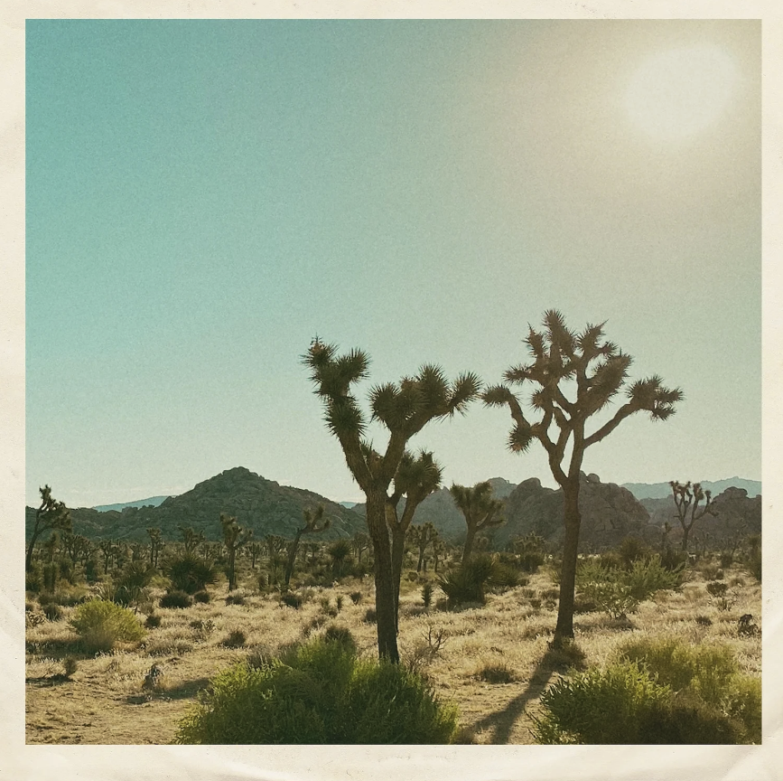 [CB165] Goodge, Sunday Soul