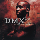 DMX, It's Dark and Hell Is Hot (COLOR)