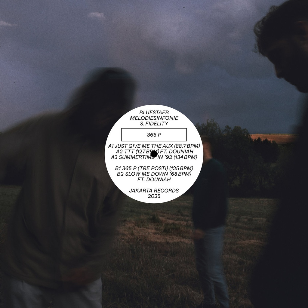 [JAKA193-LP] Bluestaeb, Melodiesinfonie & S. Fidelity, 365 P