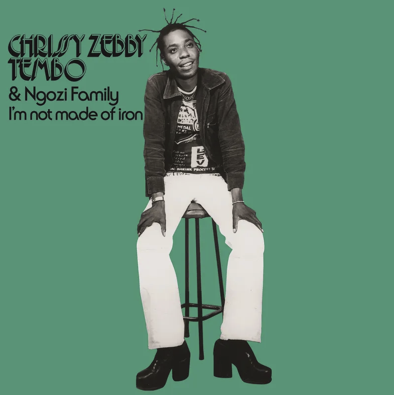 Chrissy Zebby Tembo & Ngozi Family, I'm Not Made Of Iron 