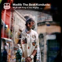 Madlib, WLIB AM King Of The Wigflip