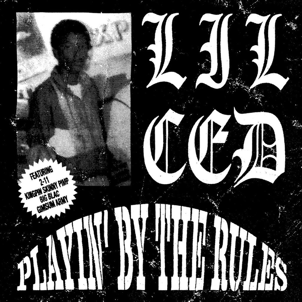 Lil Ced, Playin' By The Rules (COLOR)