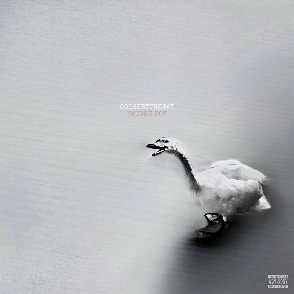 [DRUM001] GooseByTheWay, Nature Boy