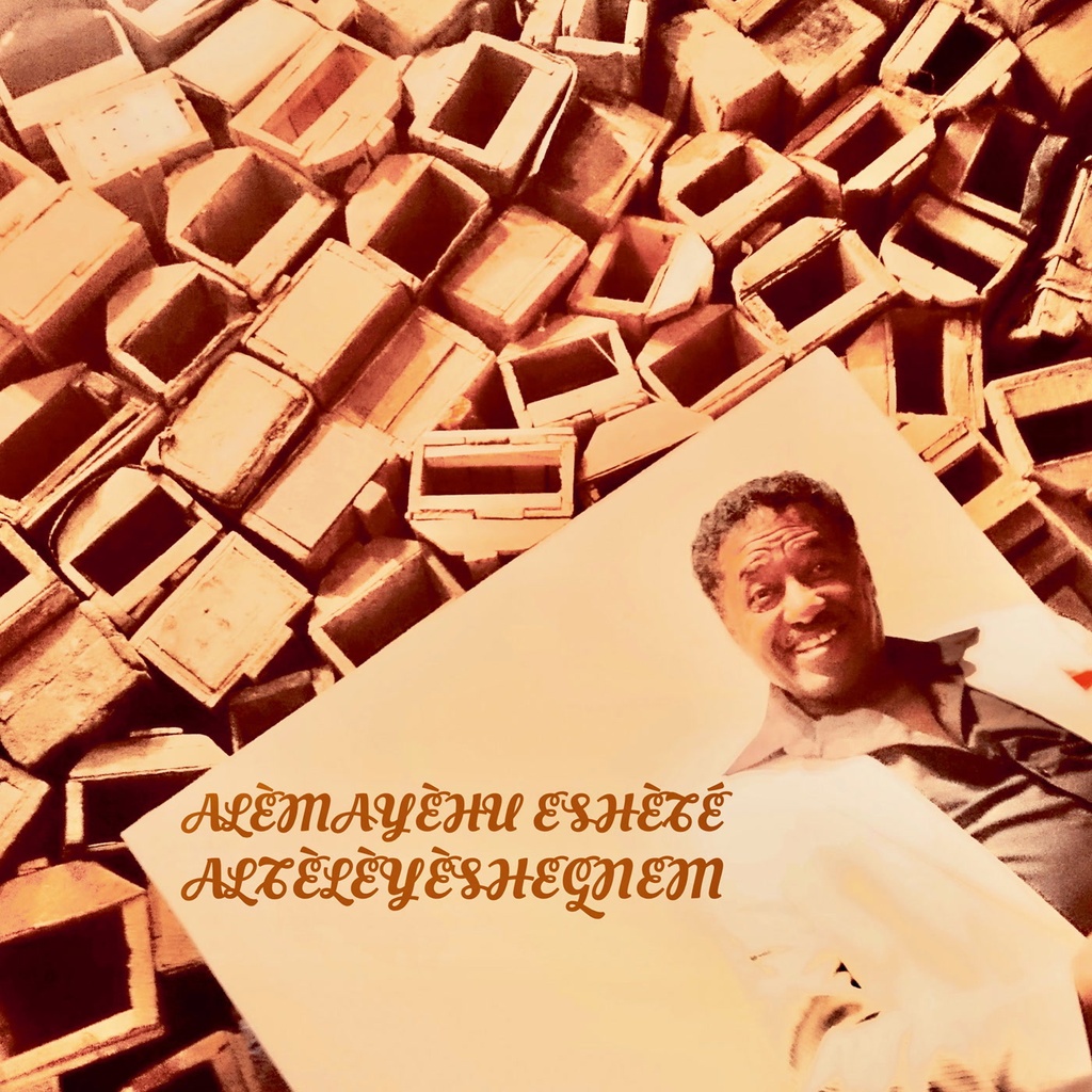 Alèmayèhu Eshèté, Alteleyeshegnem