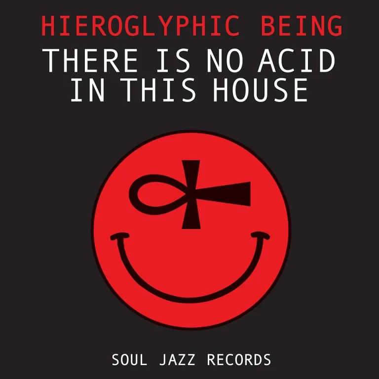 Hieroglyphic Being, There Is No Acid In This House