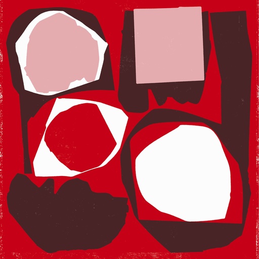 Mr Bongo Record Club Vol.5 (COLOR)