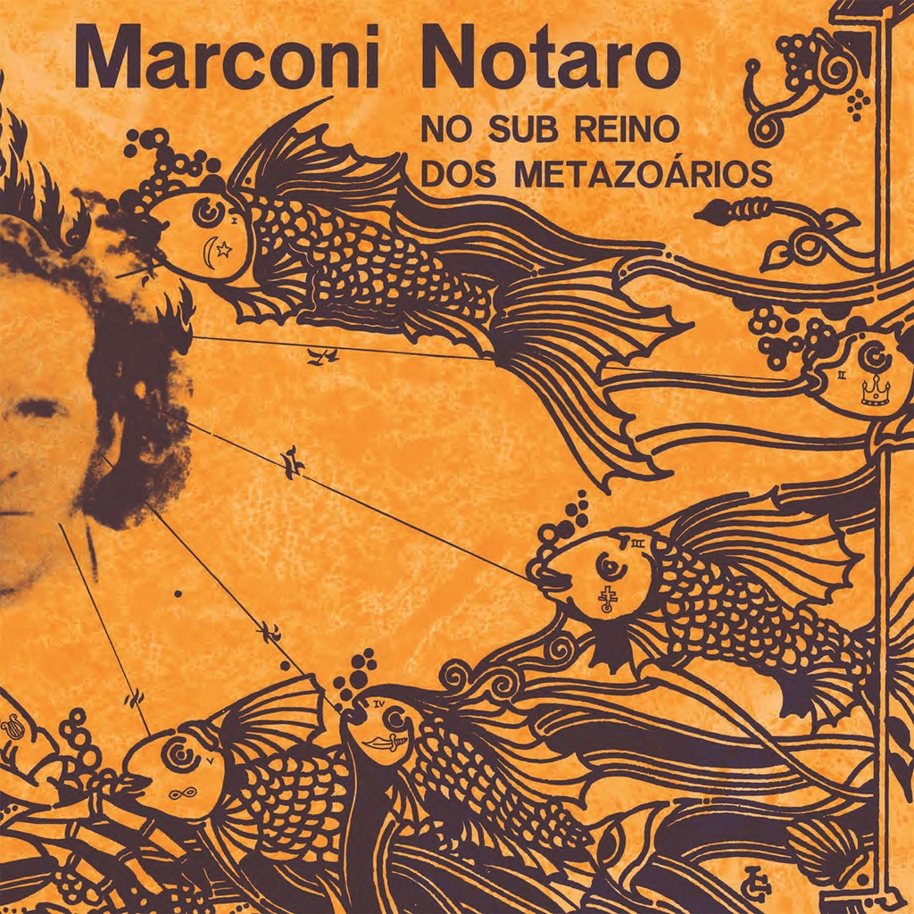 Marconi Notaro, No Sub Reino Dos Metazoários