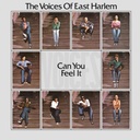 Voices Of East Harlem, Can You Feel It