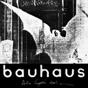 Bauhaus, The Bela Session (copie)