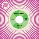 Cumbias En Moog, Cumbia De Sal