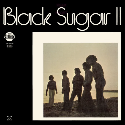 [DM014LP] Black Sugar II