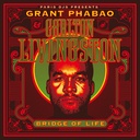 Grant Phabao & Carlton Livingston, Bridge Of Life