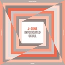 J-Zone, Intoxicated Skull