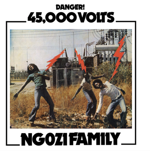 [NA5201-LP ] Ngozi Family, 45,000 Volts