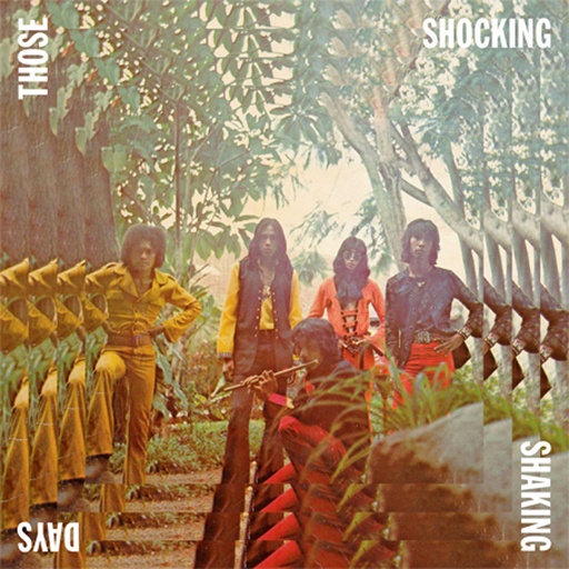 [NA5065-LP] Those Shocking Shaking Days (Indonesian Hard, Psychedelic, Progressive Rock And Funk: 1970 - 1978)