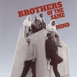 [PIG127LP] Brothers Of The Same Mind