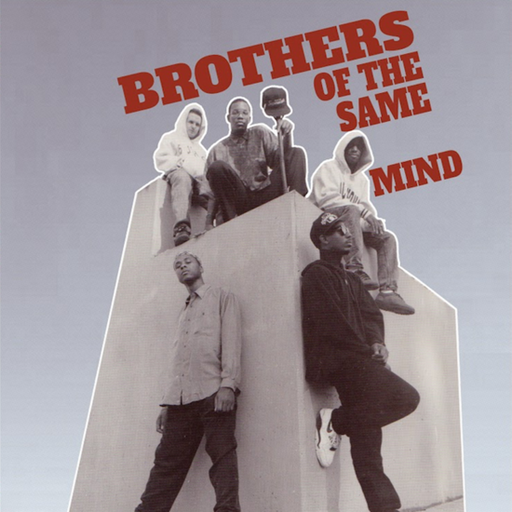 [PIG127LP] Brothers Of The Same Mind, Brothers Of The Same Mind